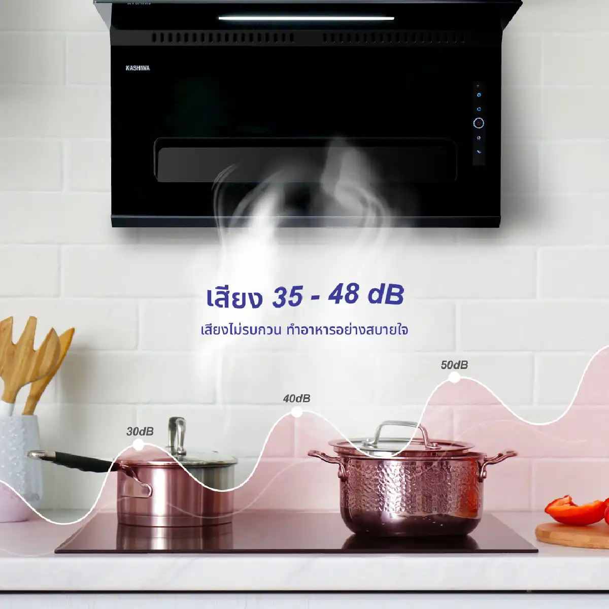 เครื่องดูดควัน | รุ่น PSD-701H - Image 6